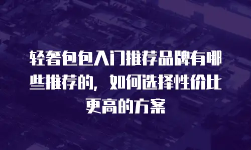 轻奢包包入门推荐品牌有哪些推荐的，如何选择性价比更高的方案