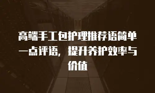 高端手工包护理推荐语简单一点评语，提升养护效率与价值