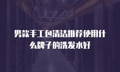 男款手工包清洁推荐使用什么牌子的洗发水好