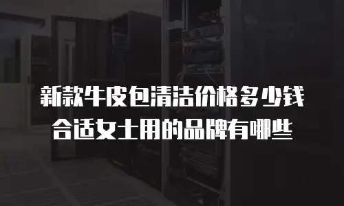 新款牛皮包清洁价格多少钱合适女士用的品牌有哪些