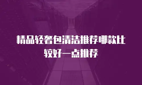 精品轻奢包清洁推荐哪款比较好一点推荐