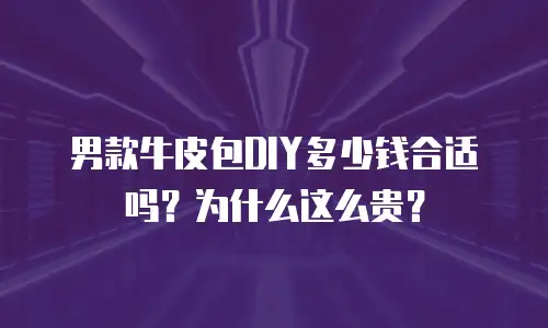 男款牛皮包DIY多少钱合适吗？为什么这么贵？