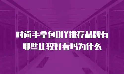 时尚手拿包DIY推荐品牌有哪些比较好看吗为什么