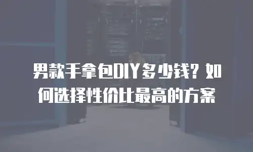 男款手拿包DIY多少钱？如何选择性价比最高的方案