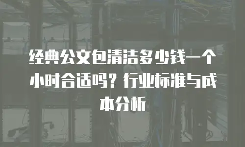 经典公文包清洁多少钱一个小时合适吗？行业标准与成本分析