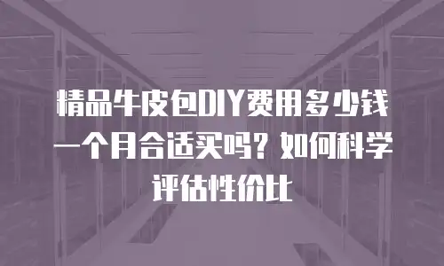 精品牛皮包DIY费用多少钱一个月合适买吗？如何科学评估性价比