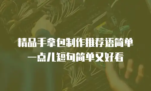 精品手拿包制作推荐语简单一点儿短句简单又好看