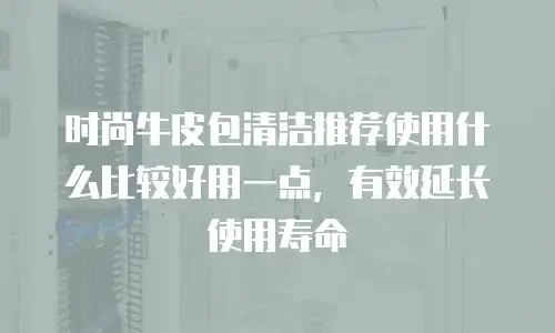 时尚牛皮包清洁推荐使用什么比较好用一点，有效延长使用寿命