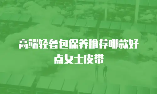 高端轻奢包保养推荐哪款好点女士皮带
