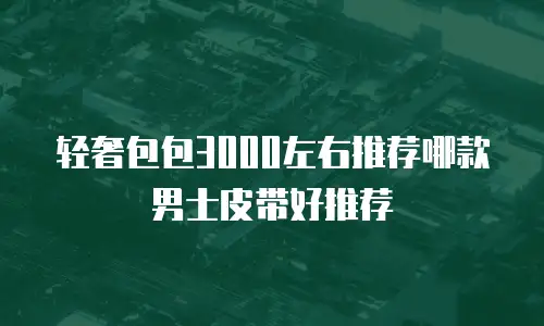 轻奢包包3000左右推荐哪款男士皮带好推荐