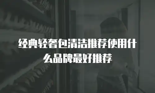经典轻奢包清洁推荐使用什么品牌最好推荐