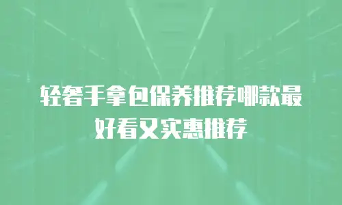 轻奢手拿包保养推荐哪款最好看又实惠推荐