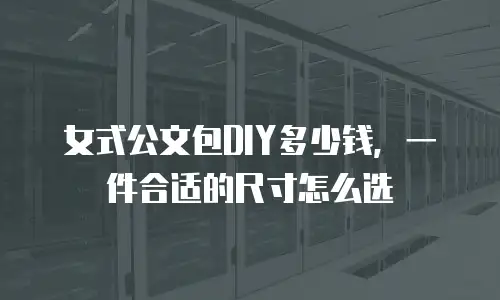女式公文包DIY多少钱，一件合适的尺寸怎么选