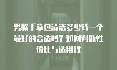 男款手拿包清洁多少钱一个最好的合适吗？如何判断性价比与适用性
