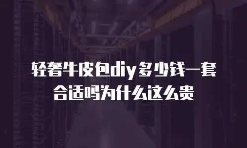 轻奢牛皮包diy多少钱一套合适吗为什么这么贵