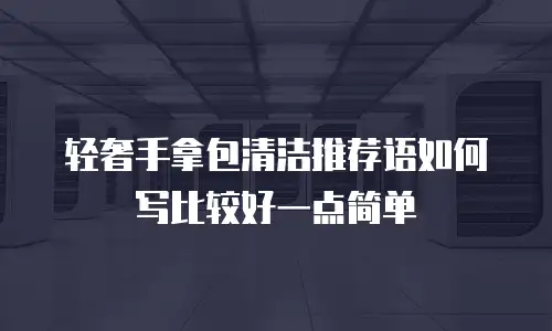 轻奢手拿包清洁推荐语如何写比较好一点简单