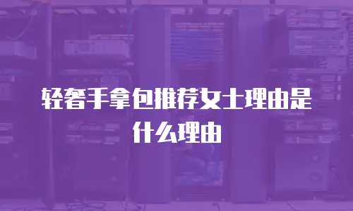轻奢手拿包推荐女士理由是什么理由