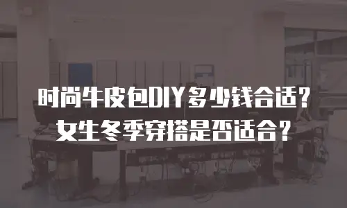 时尚牛皮包DIY多少钱合适？女生冬季穿搭是否适合？