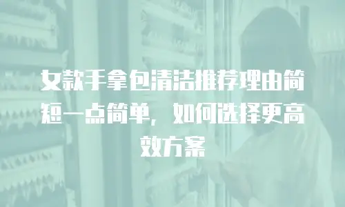 女款手拿包清洁推荐理由简短一点简单，如何选择更高效方案