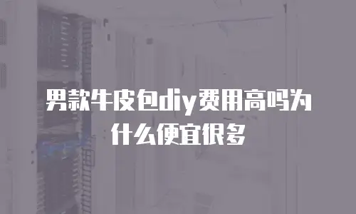 男款牛皮包diy费用高吗为什么便宜很多