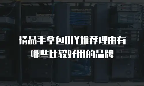 精品手拿包DIY推荐理由有哪些比较好用的品牌