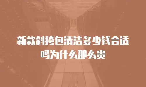 新款斜挎包清洁多少钱合适吗为什么那么贵