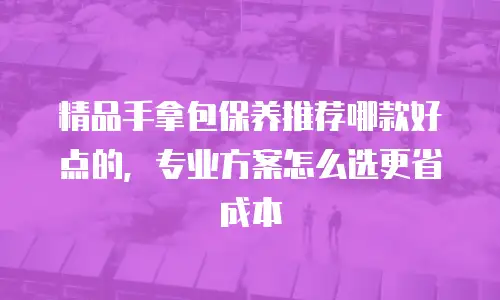 精品手拿包保养推荐哪款好点的，专业方案怎么选更省成本