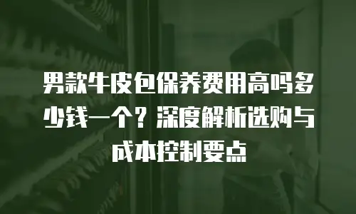 男款牛皮包保养费用高吗多少钱一个？深度解析选购与成本控制要点