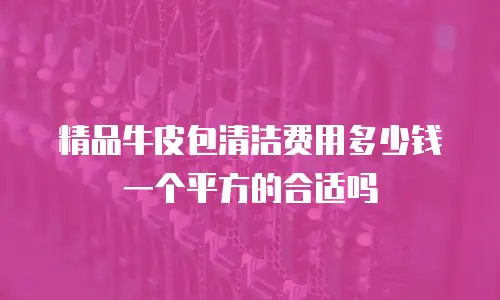 精品牛皮包清洁费用多少钱一个平方的合适吗