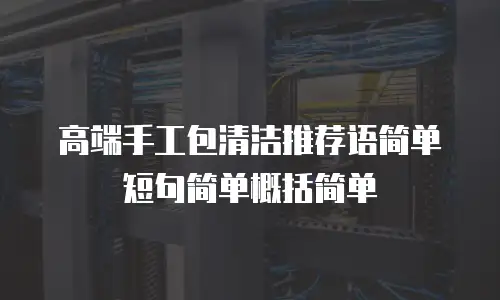 高端手工包清洁推荐语简单短句简单概括简单