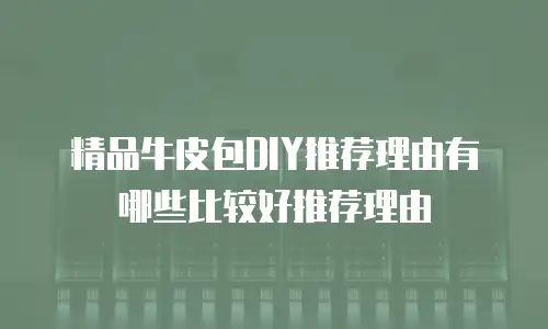 精品牛皮包DIY推荐理由有哪些比较好推荐理由