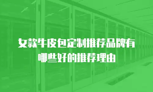 女款牛皮包定制推荐品牌有哪些好的推荐理由