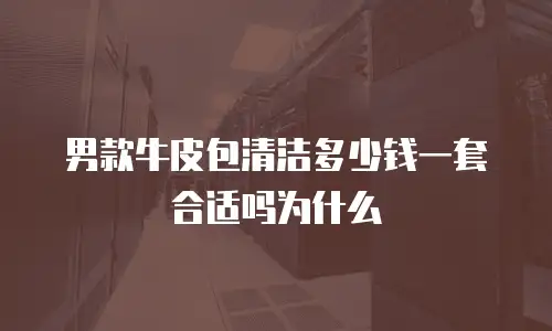 男款牛皮包清洁多少钱一套合适吗为什么