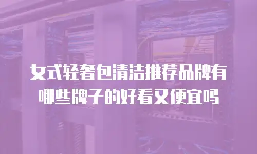 女式轻奢包清洁推荐品牌有哪些牌子的好看又便宜吗