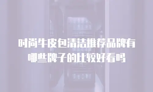 时尚牛皮包清洁推荐品牌有哪些牌子的比较好看吗