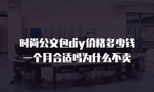 时尚公文包diy价格多少钱一个月合适吗为什么不卖