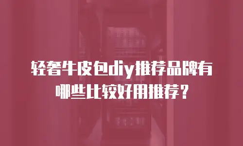 轻奢牛皮包diy推荐品牌有哪些比较好用推荐？