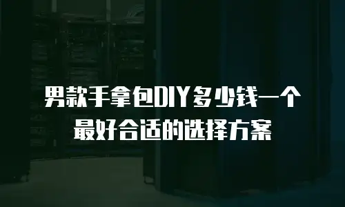 男款手拿包DIY多少钱一个最好合适的选择方案
