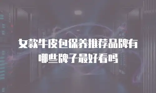 女款牛皮包保养推荐品牌有哪些牌子最好看吗