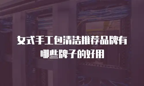女式手工包清洁推荐品牌有哪些牌子的好用