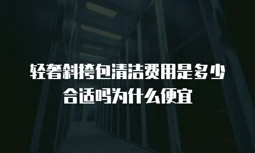 轻奢斜挎包清洁费用是多少合适吗为什么便宜