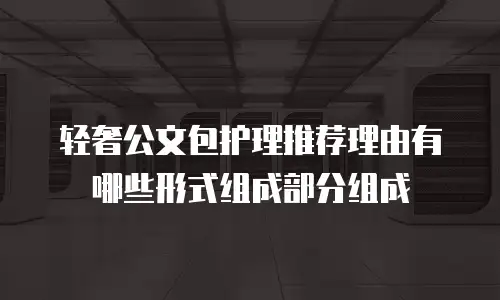 轻奢公文包护理推荐理由有哪些形式组成部分组成