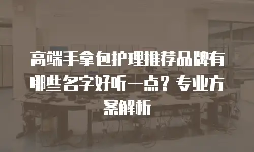 高端手拿包护理推荐品牌有哪些名字好听一点？专业方案解析