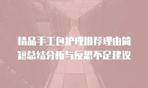 精品手工包护理推荐理由简短总结分析与反思不足建议