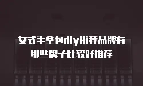 女式手拿包diy推荐品牌有哪些牌子比较好推荐