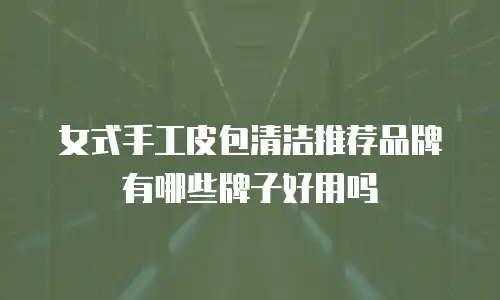 女式手工皮包清洁推荐品牌有哪些牌子好用吗