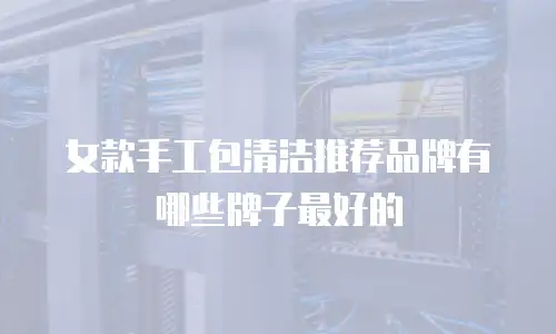 女款手工包清洁推荐品牌有哪些牌子最好的