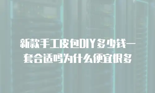 新款手工皮包DIY多少钱一套合适吗为什么便宜很多