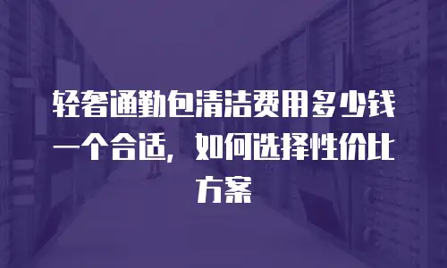 轻奢通勤包清洁费用多少钱一个合适，如何选择性价比方案