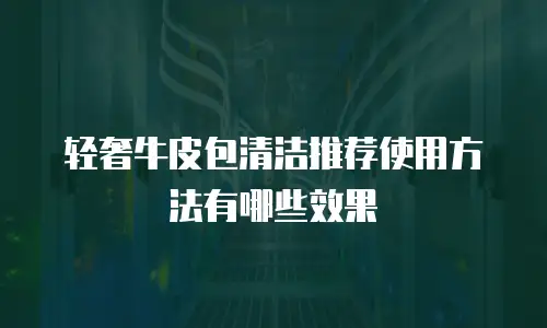轻奢牛皮包清洁推荐使用方法有哪些效果